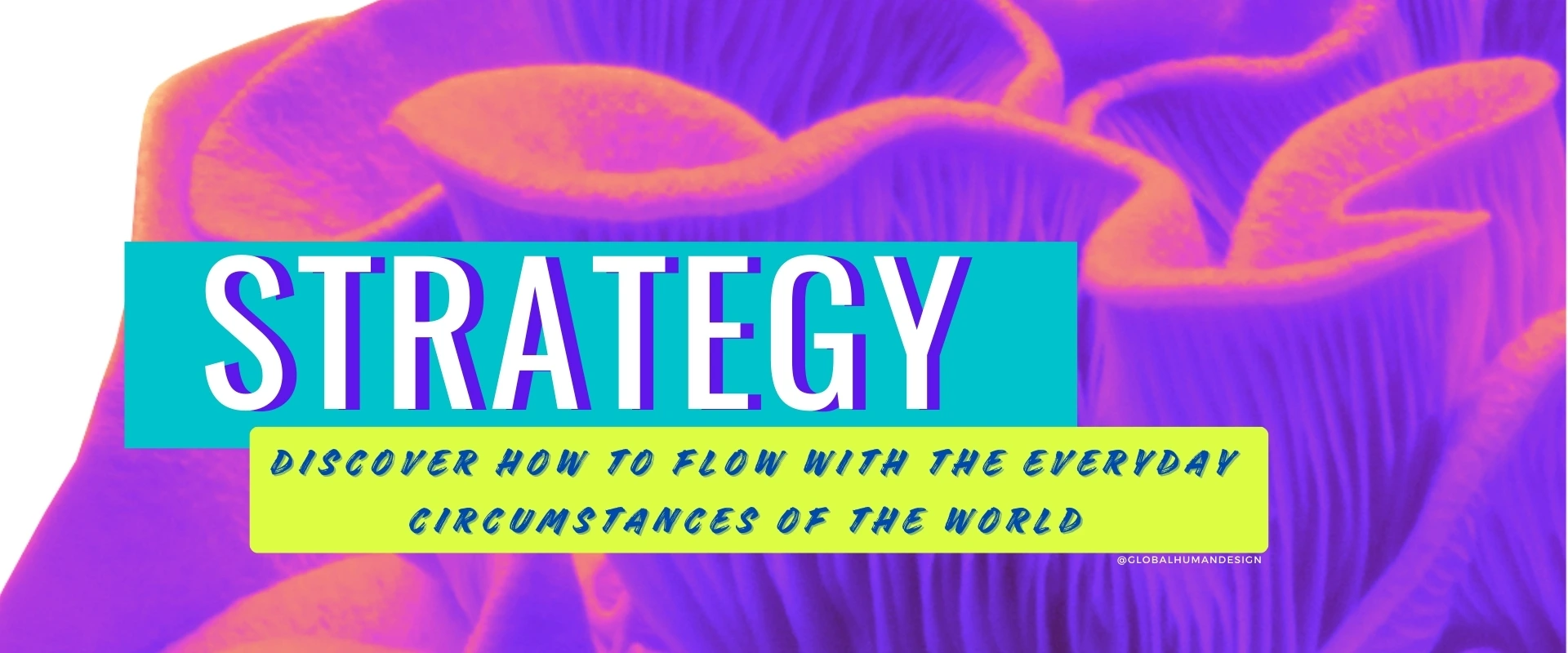 Every Aura type has a different Strategy to find its flow in the world!