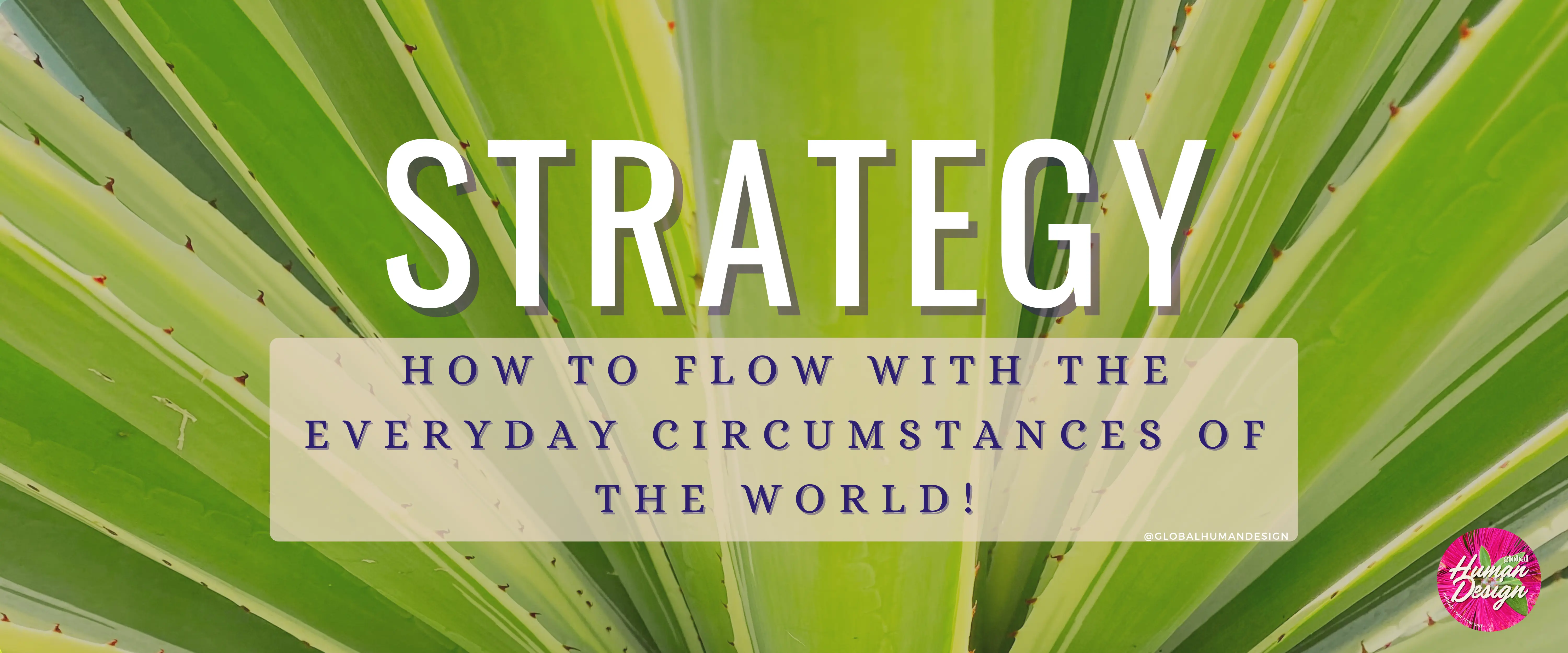 KNOW YOUR STRATEGY!  Find your flow in the world!
