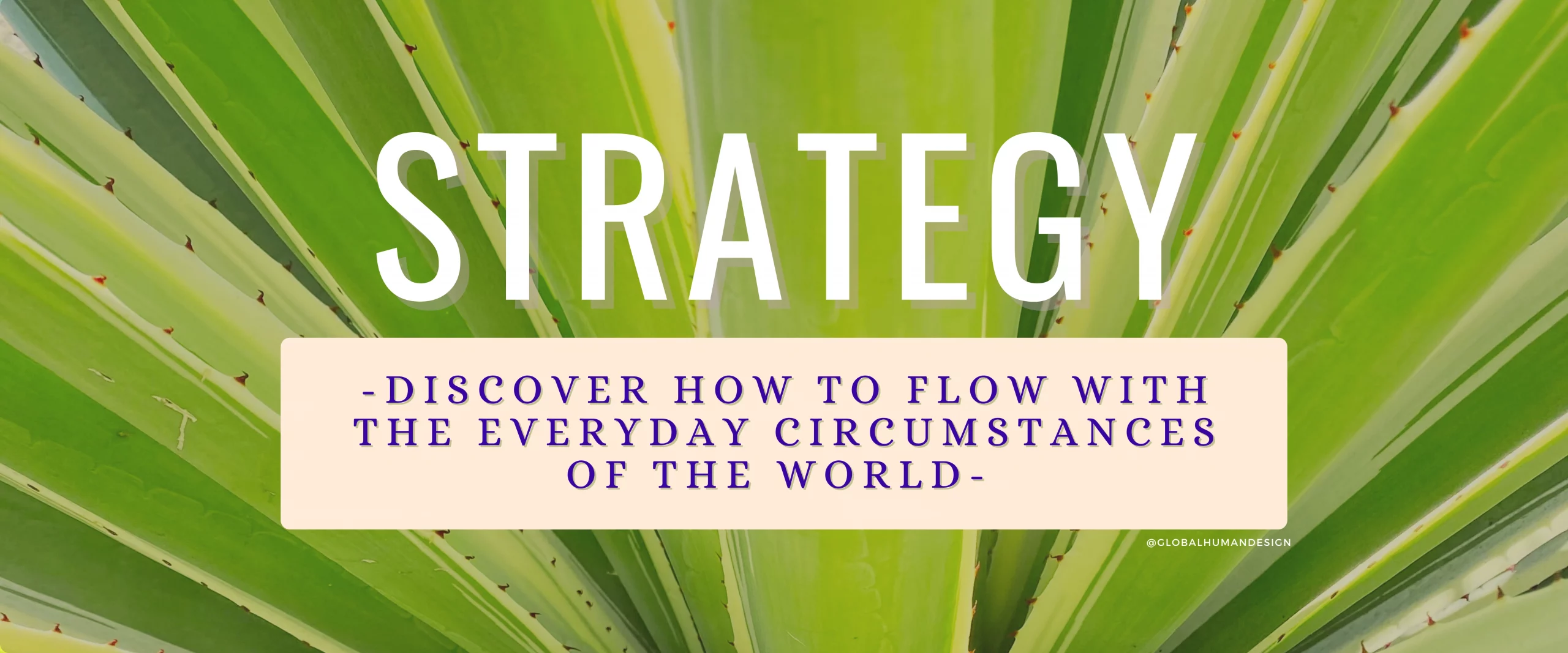 KNOW YOUR STRATEGY!  Find your flow in the world!