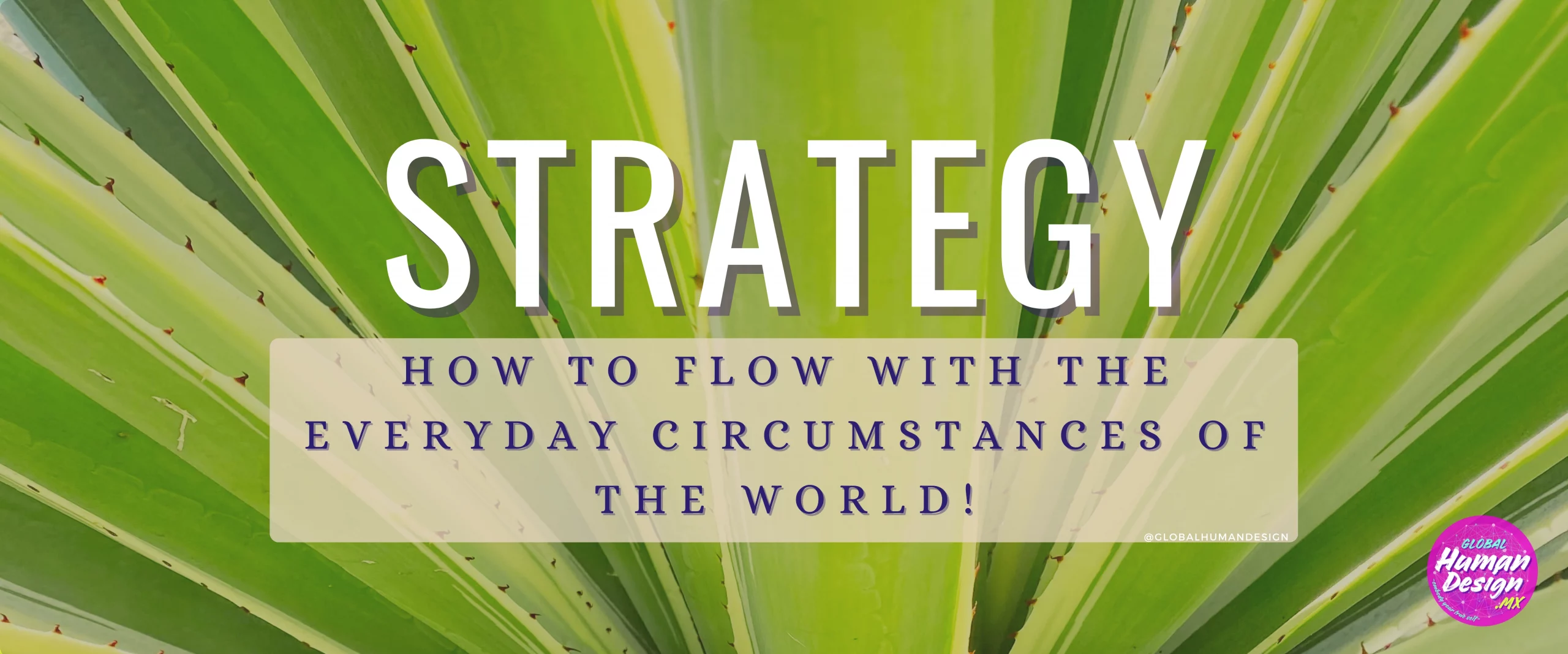 KNOW YOUR STRATEGY!  Find your flow in the world!