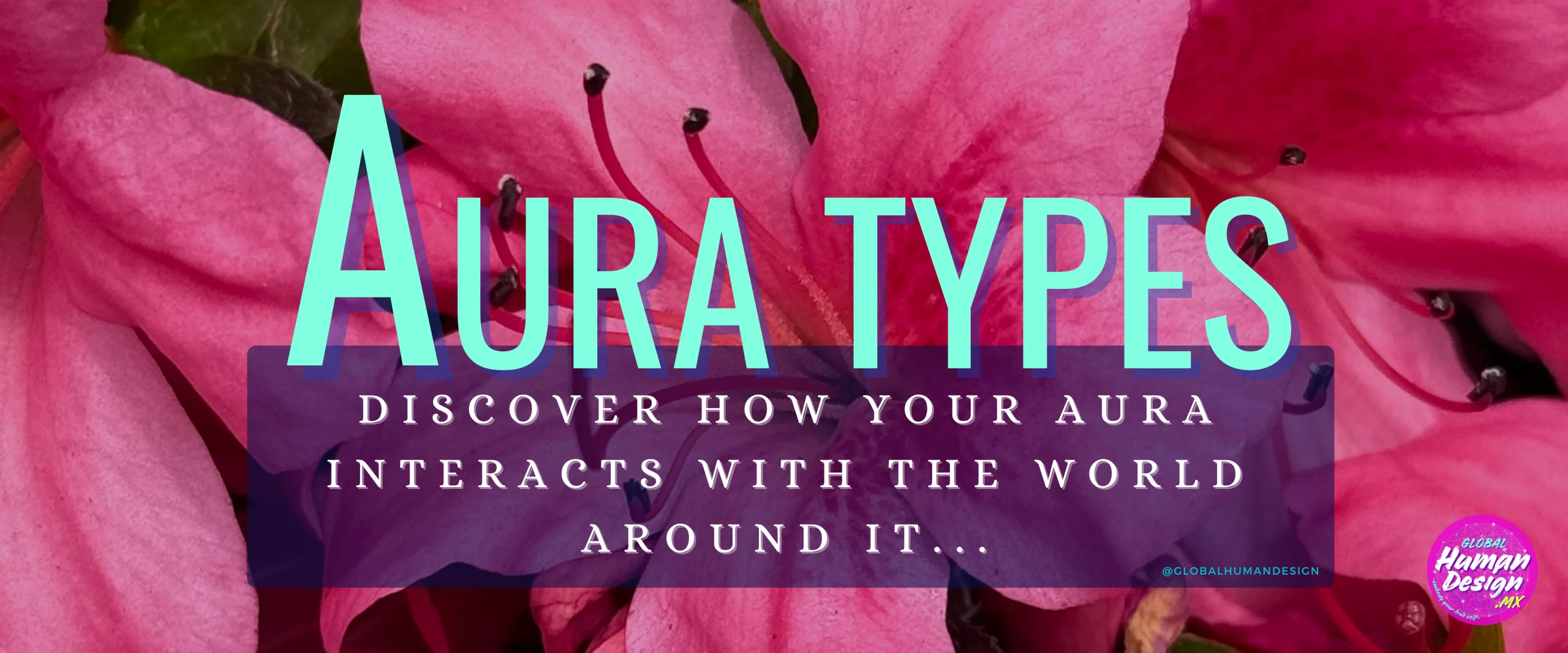 Aura Types – Unlock the mechanism of your energy-