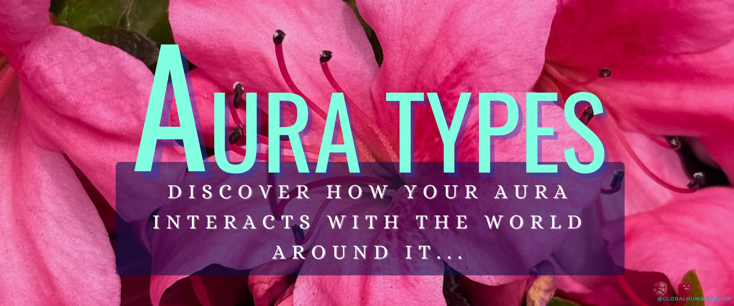 Aura Types – Unlock the mechanism of your energy-