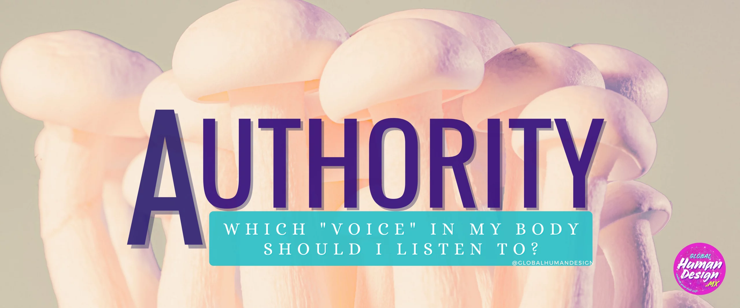 Important Decisions? Listen to your Inner Authority!