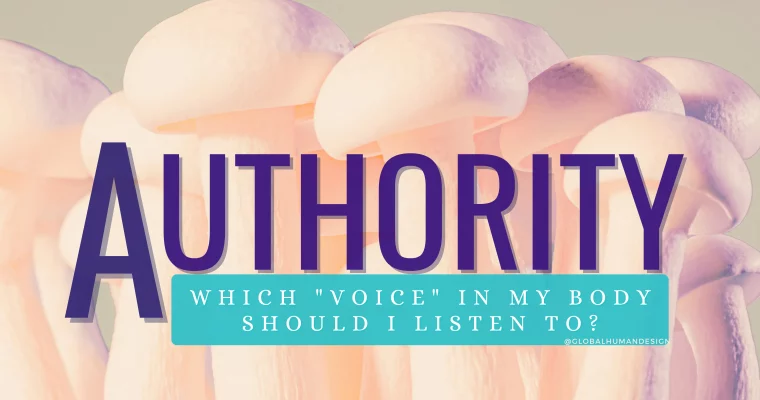 Important Decisions? Listen to your Inner Authority!