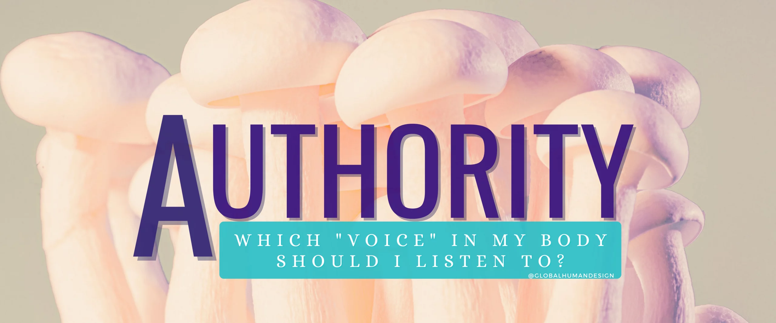 Important Decisions? Listen to your Inner Authority!