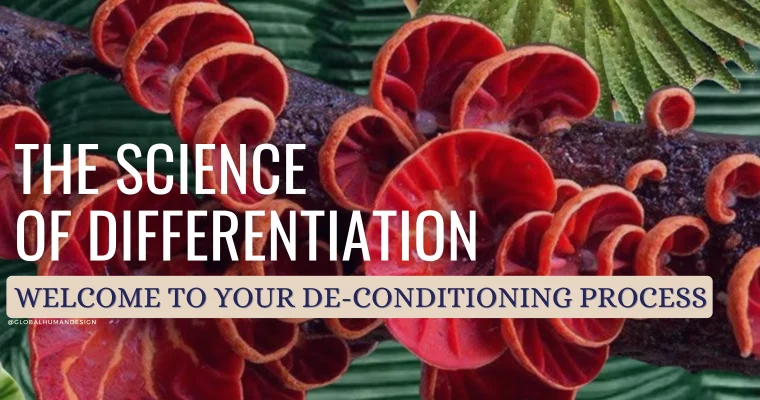 Welcome to the world of Human Design!