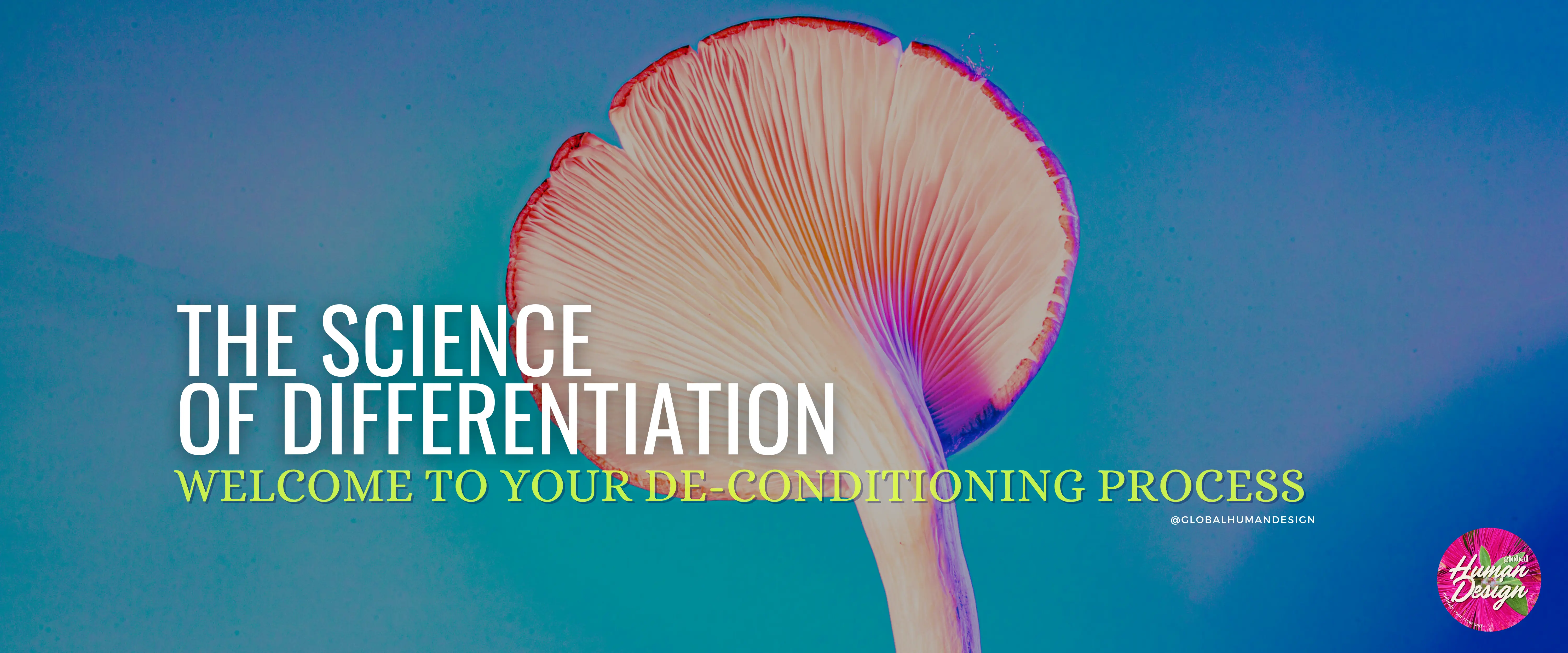 We are all Unique – discover the Science of Differentiation!