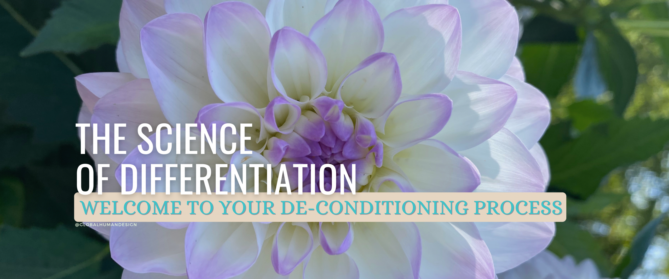 Welcome to the world of Human Design!