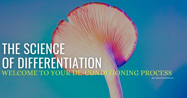 Welcome to the world of Human Design!