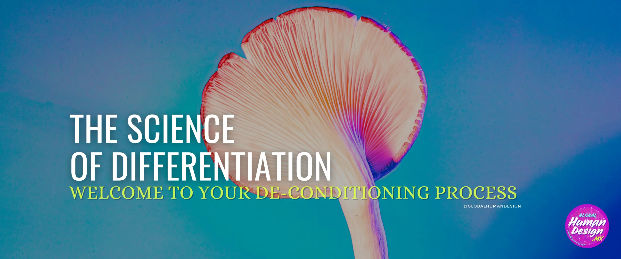 Welcome to the world of Human Design!