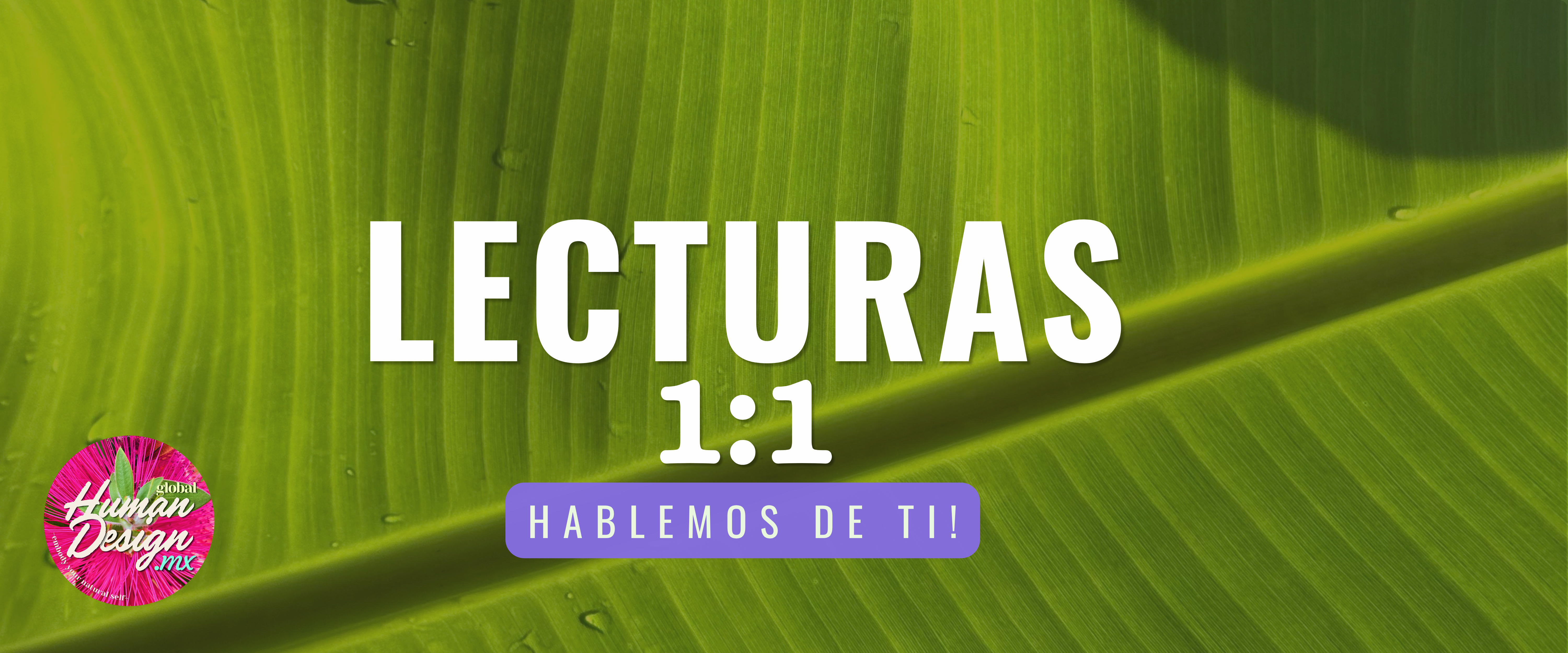 Descubre tu Diseño Humano!